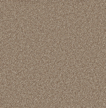 Forest Bark