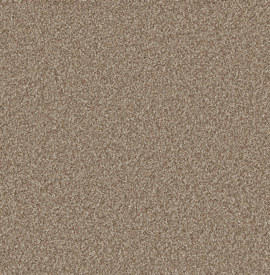 Forest Bark