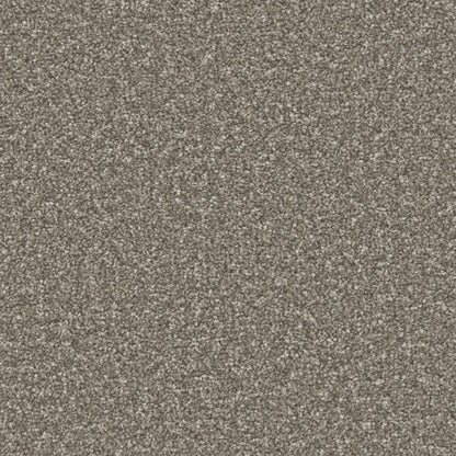 Cinder Grey