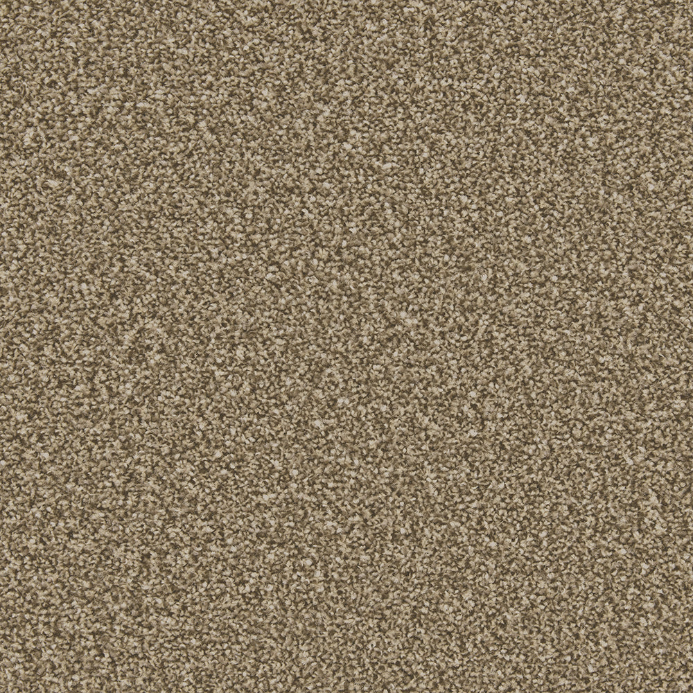 Cork Oak