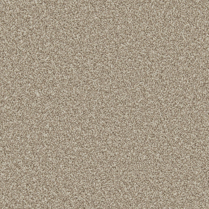 Manhattan Taupe