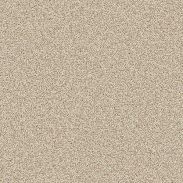 Beige & Cream Carpets