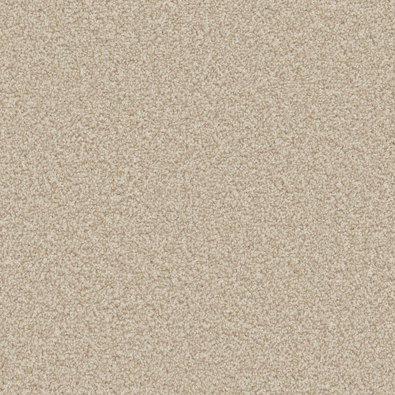 Tight-Twist & Hard-Wearing Carpets