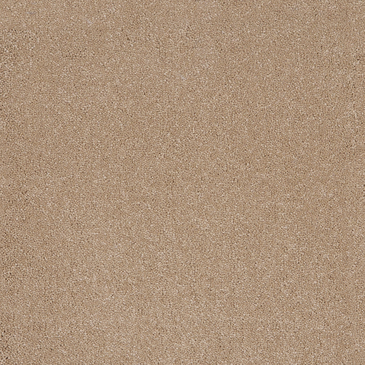 Sandstone