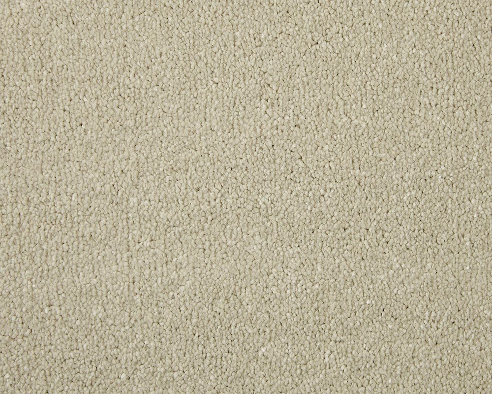 Pale Angora