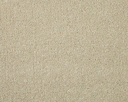 Pale Angora