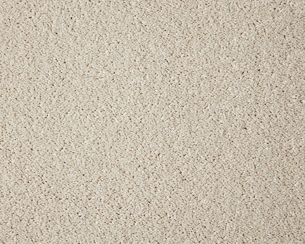 Snowdrift