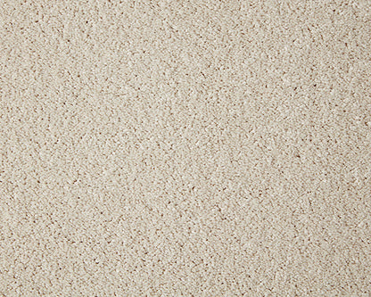 Snowdrift
