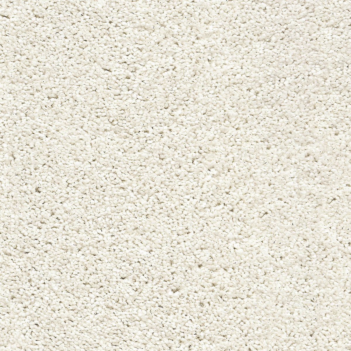 Flash White