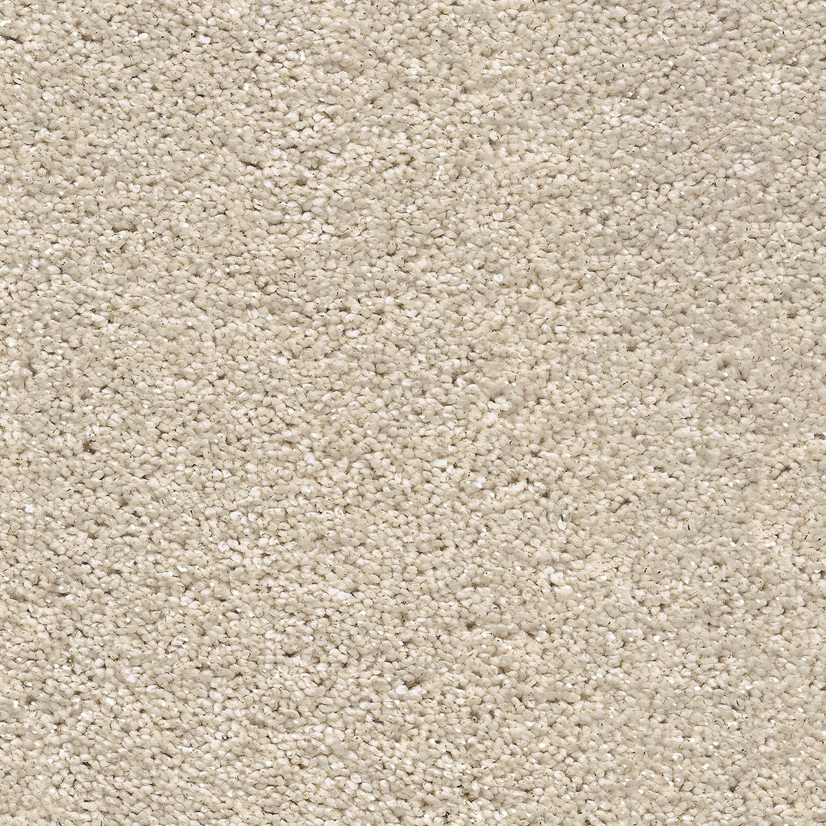 Cornsilk