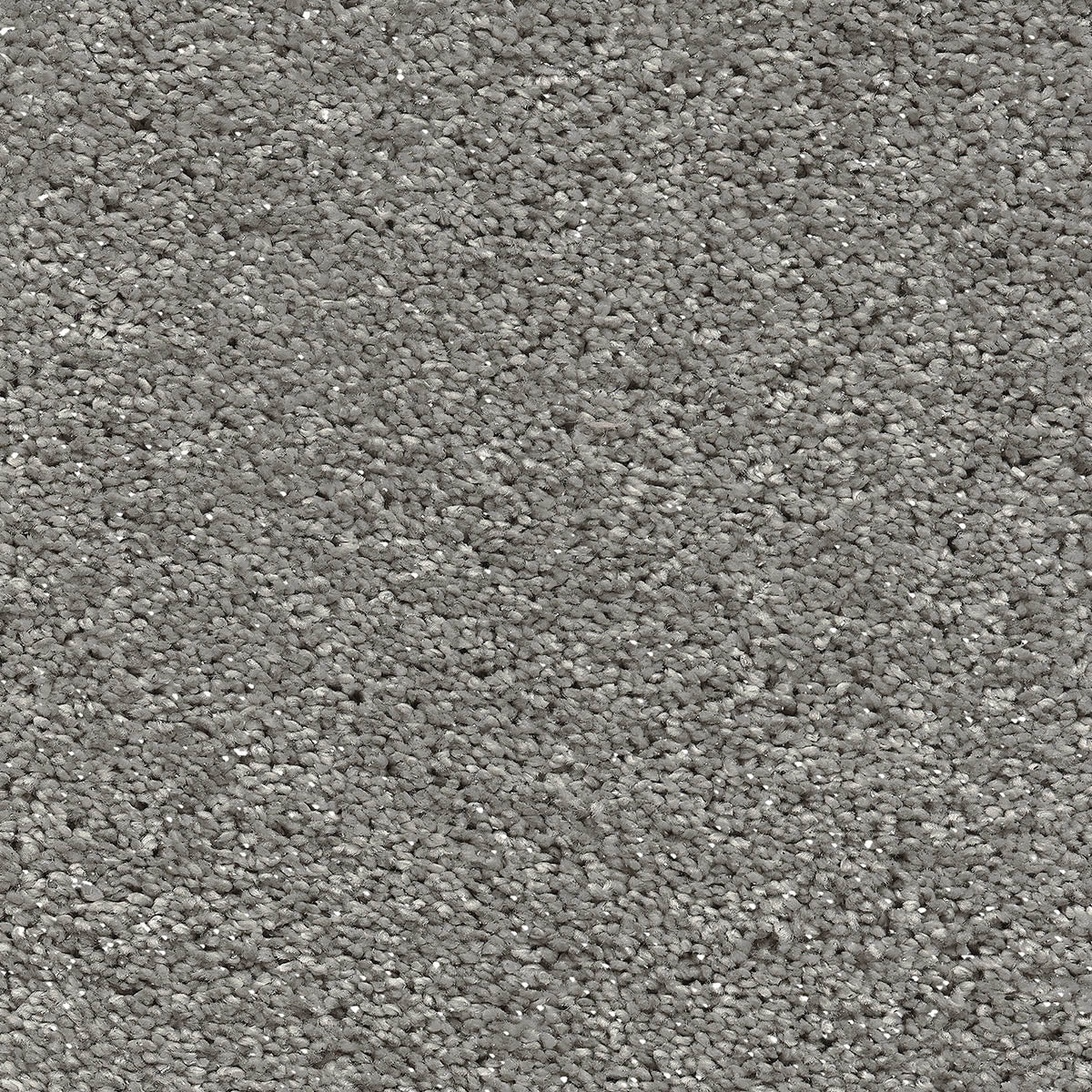Silver Cloud