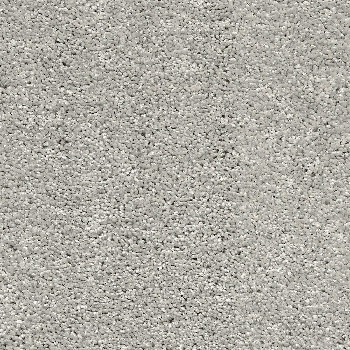 Cool Grey