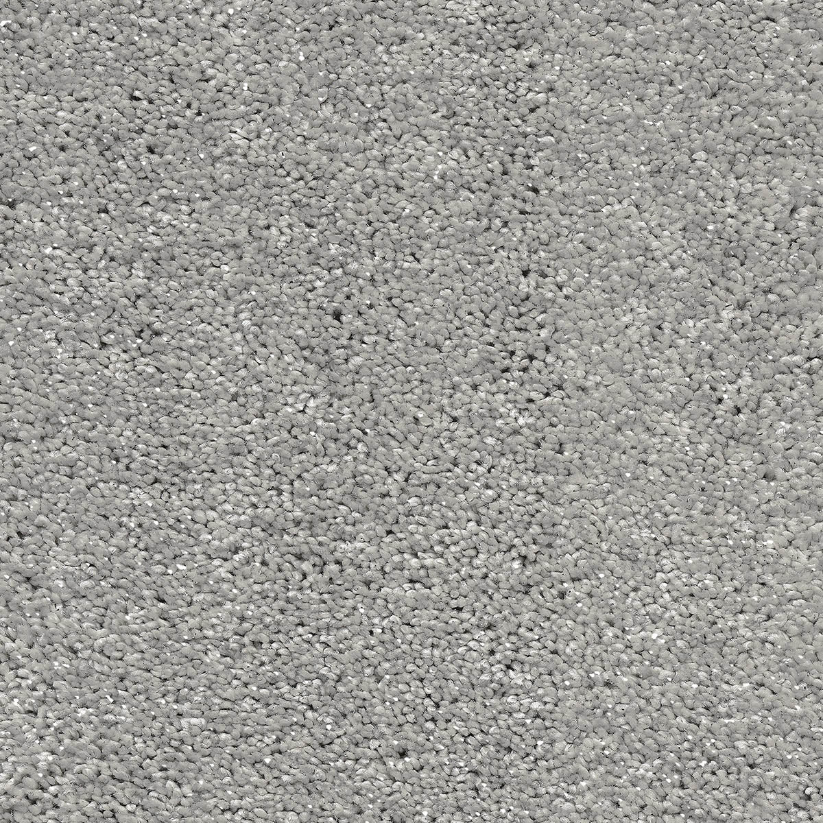 Warm Grey