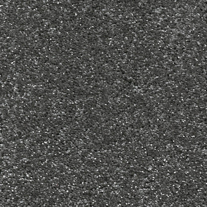 Grey Coral