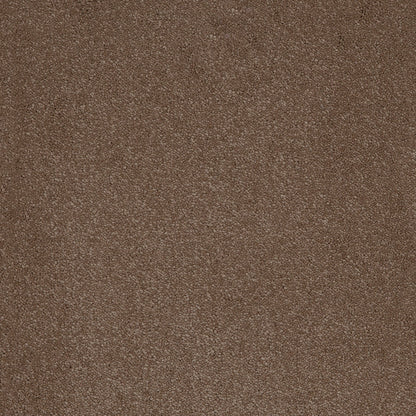 Moleskin