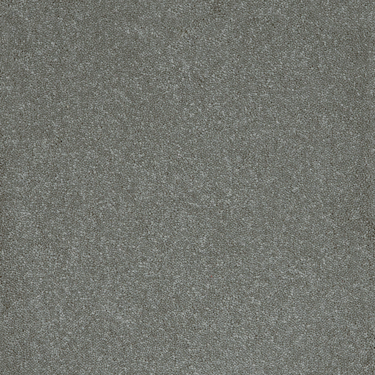 Steel