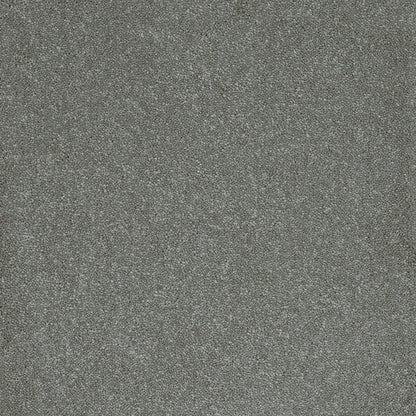 Steel