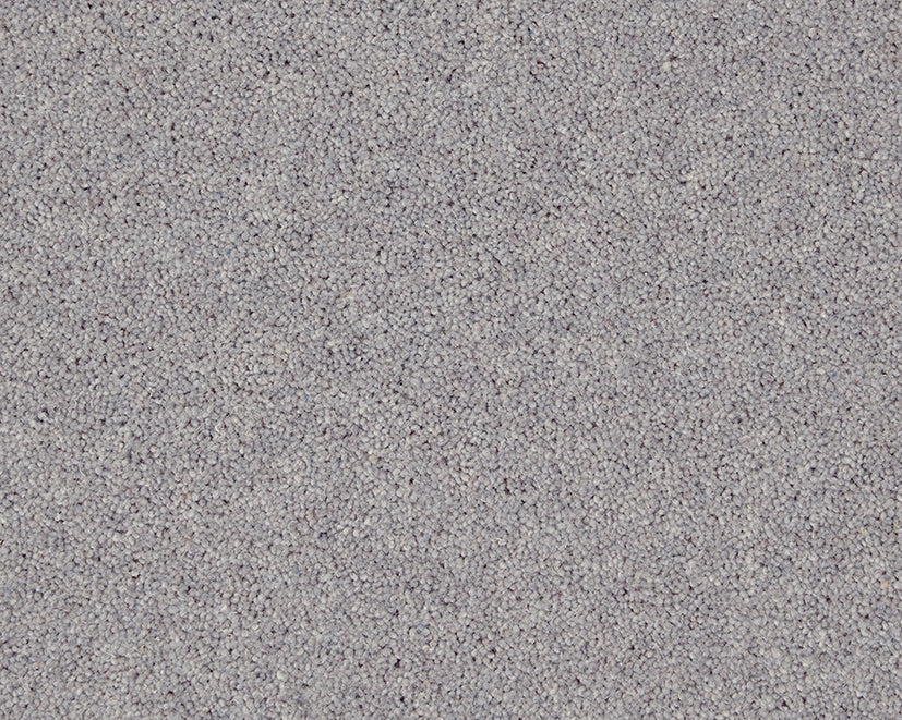 Dove Grey