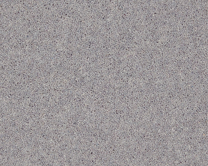 Dove Grey