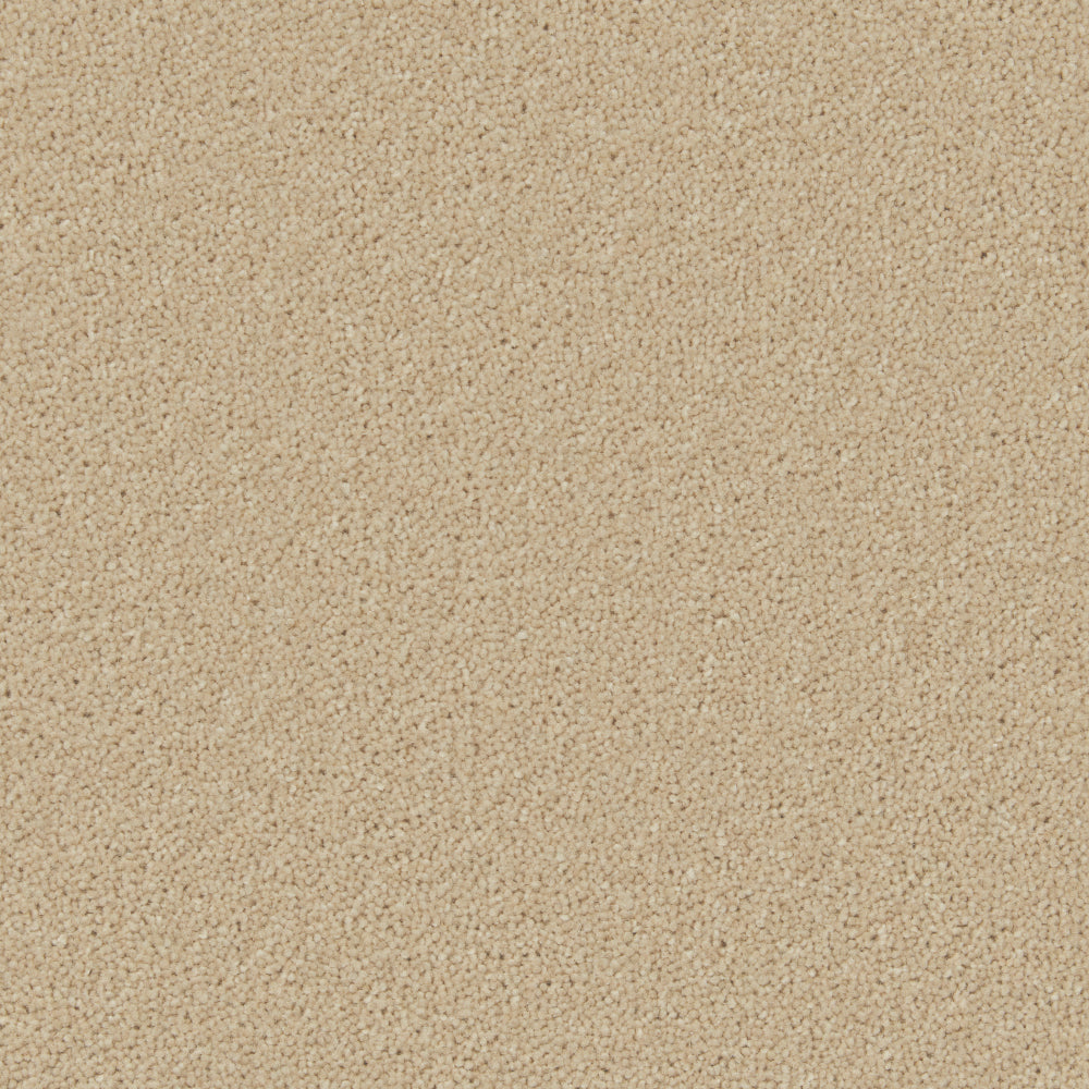 Fossil