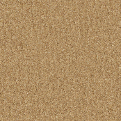 Maize
