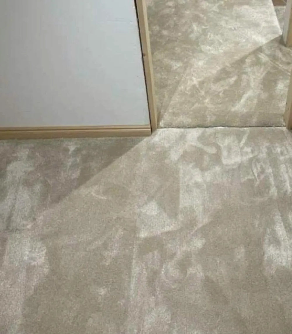 Close-up of newly fitted carpet