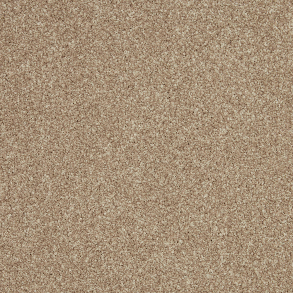 Fordham Flax