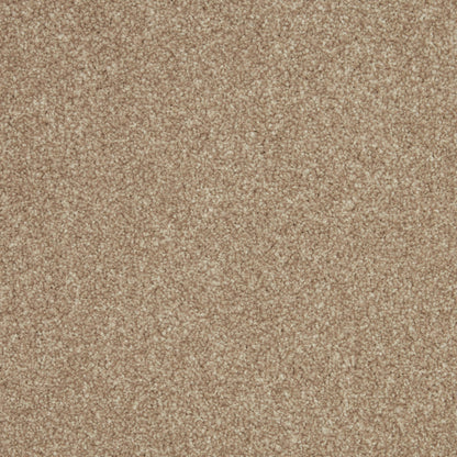 Fordham Flax
