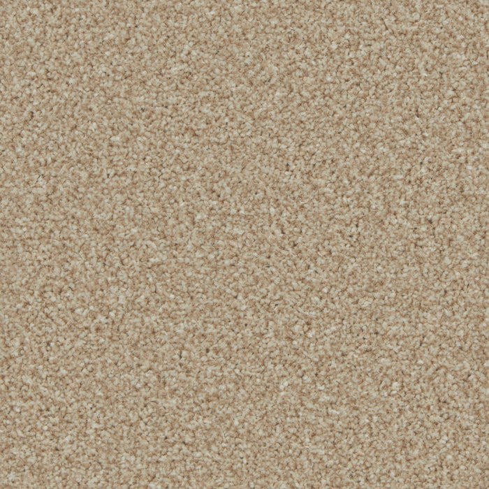Kingston Easy-Clean Twist Carpet — Cormar