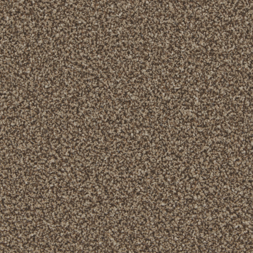 Mocha