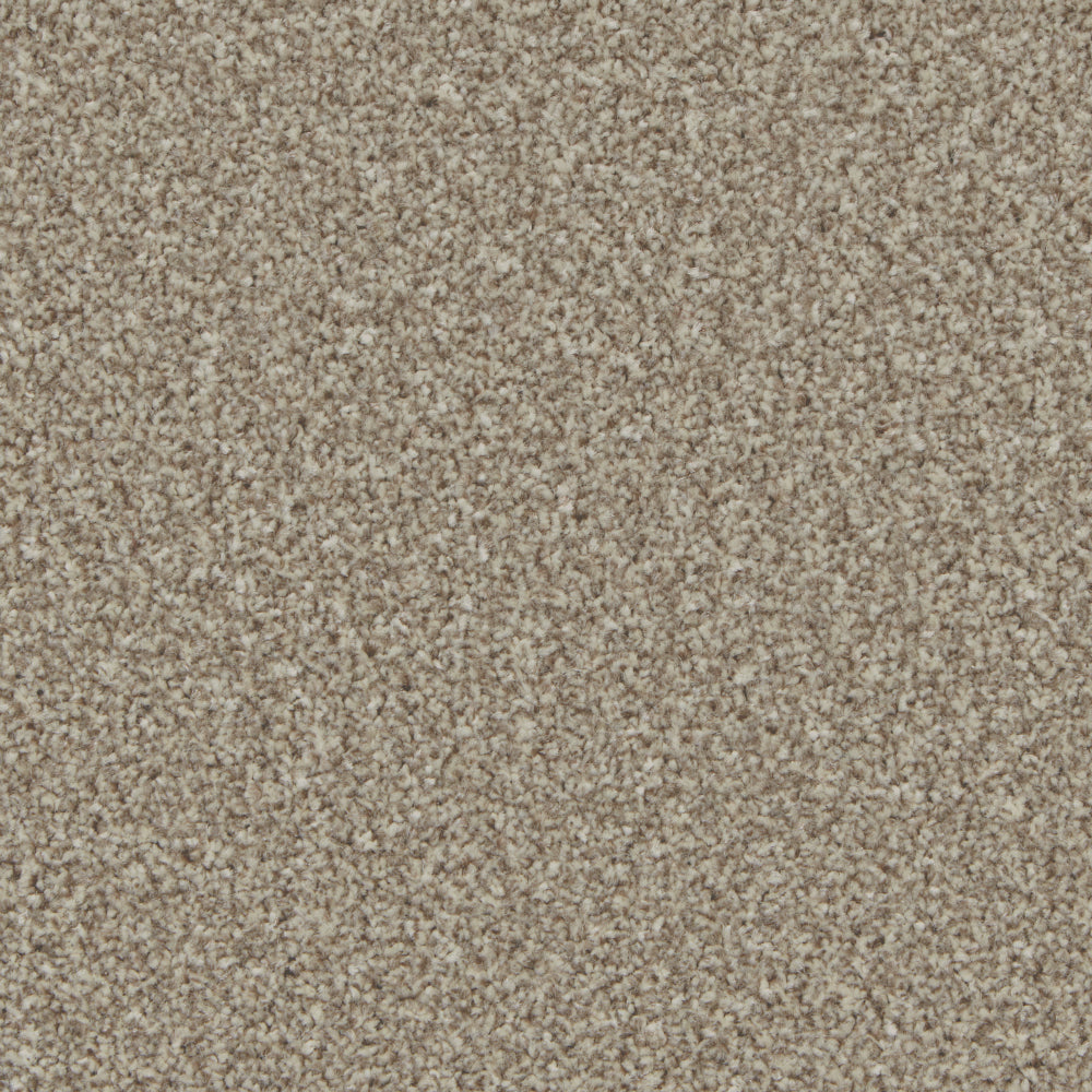 Pale Oak