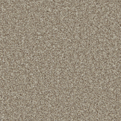 Pale Oak