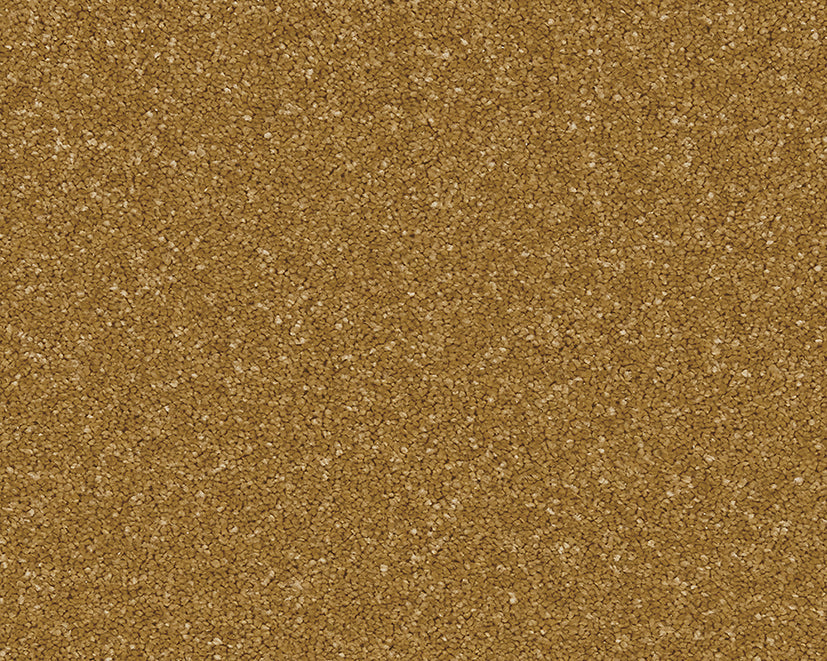 Midas Touch