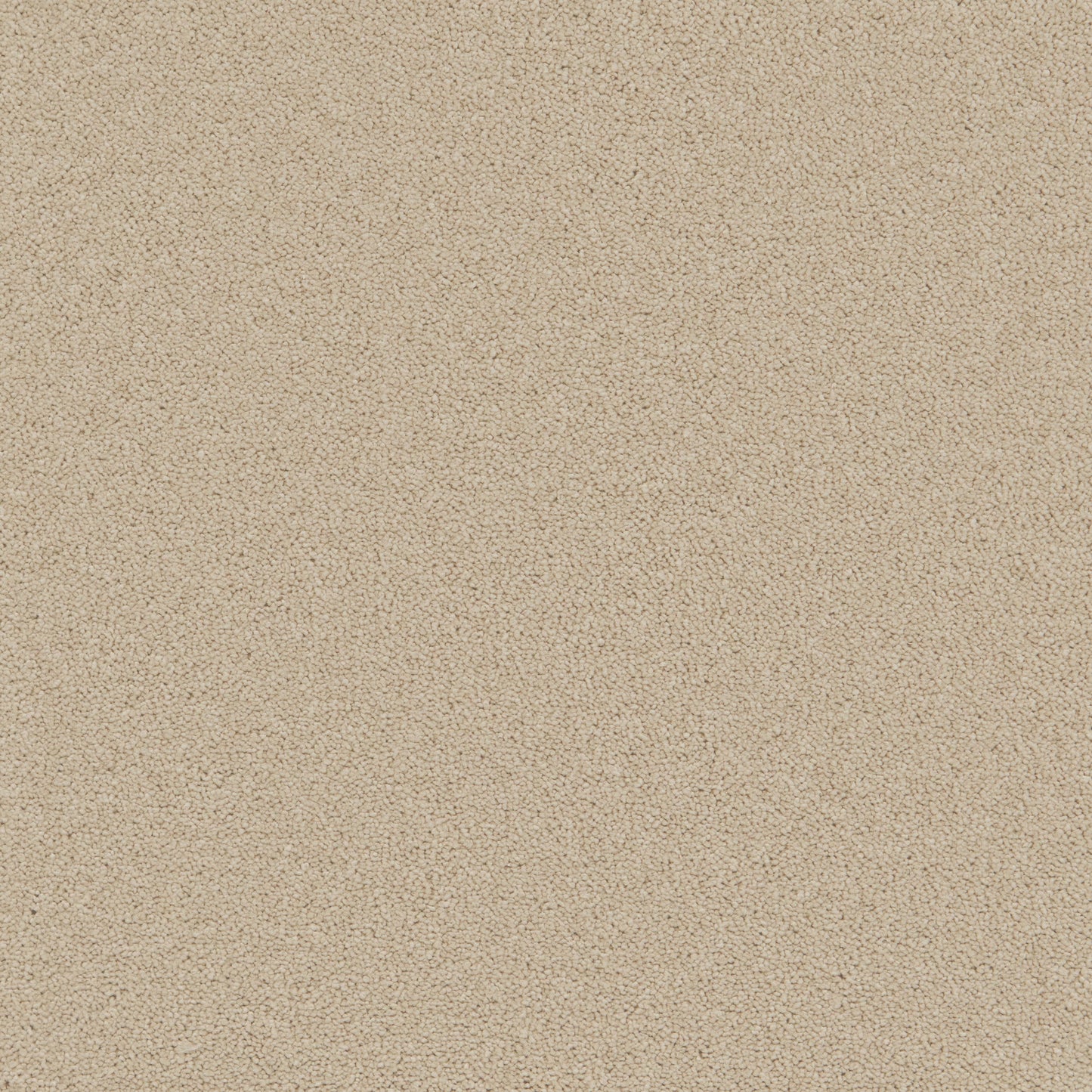 Ivory Mist