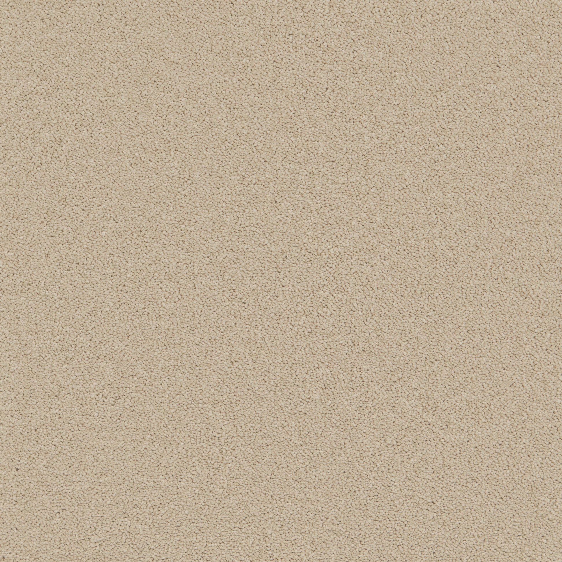 Ivory Mist