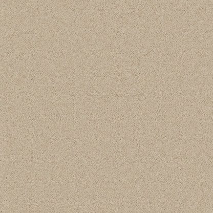 Ivory Mist