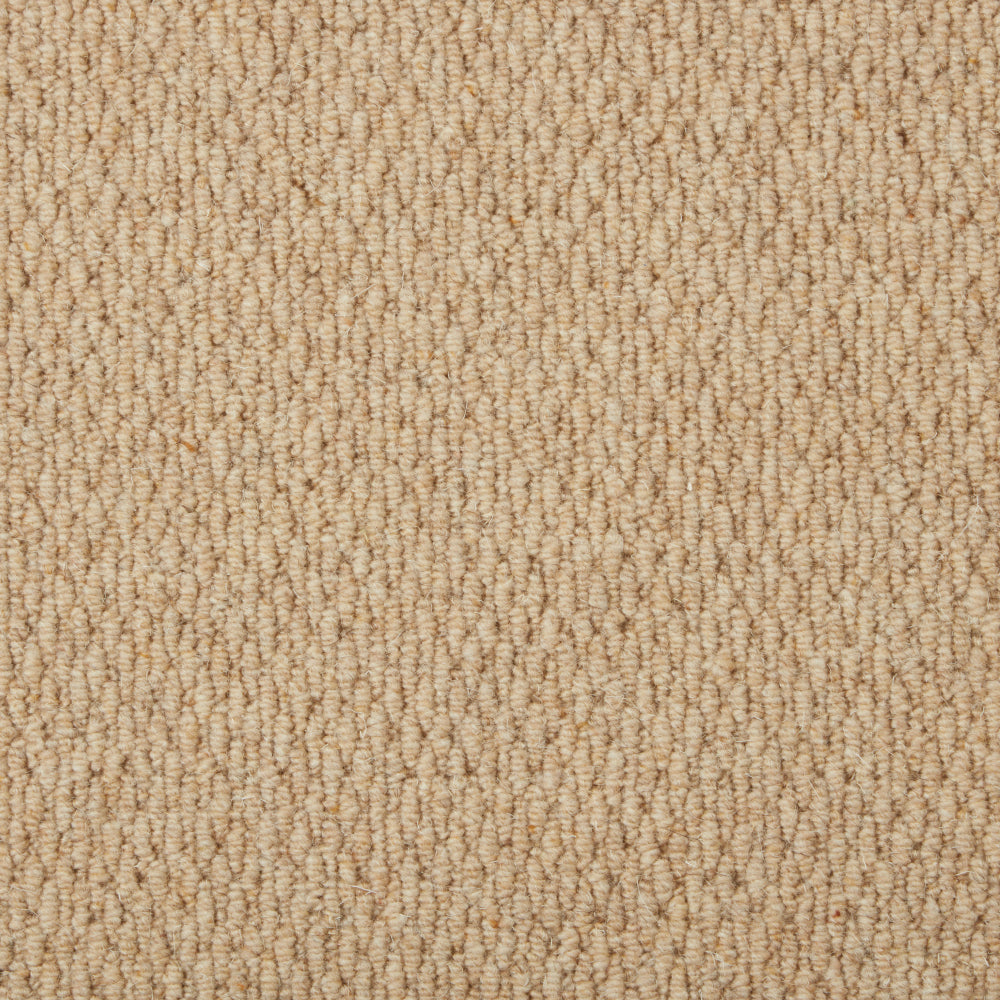 Sahara