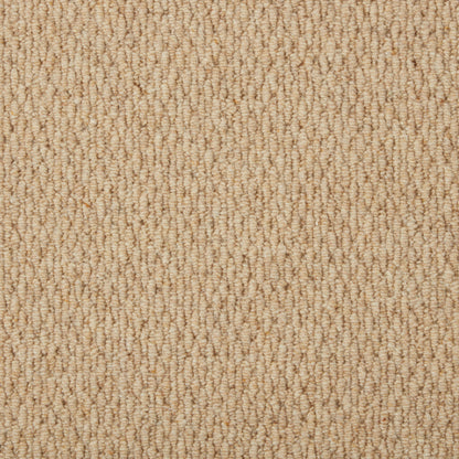 Sahara