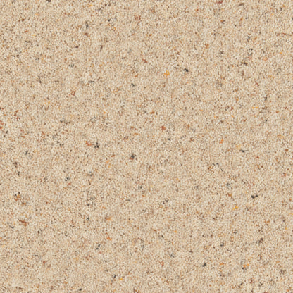 Seed
