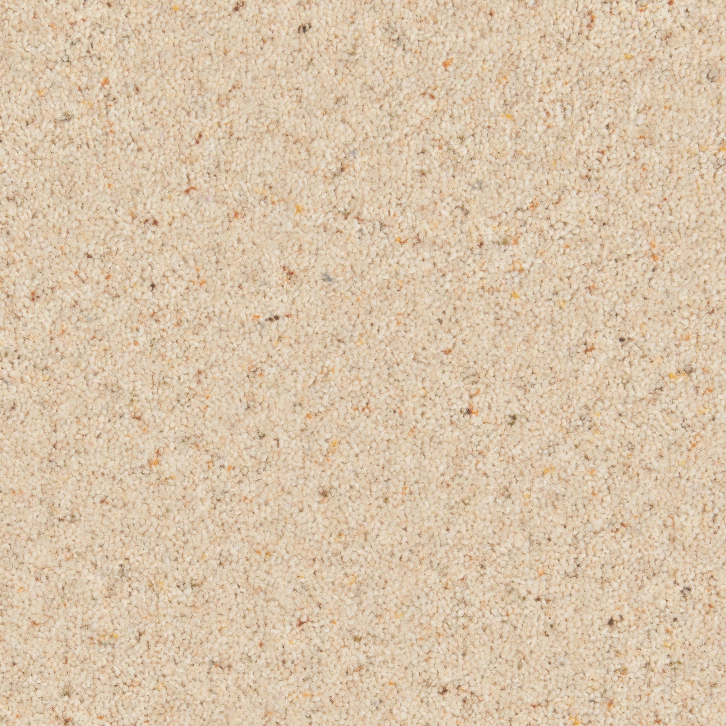 Parchment