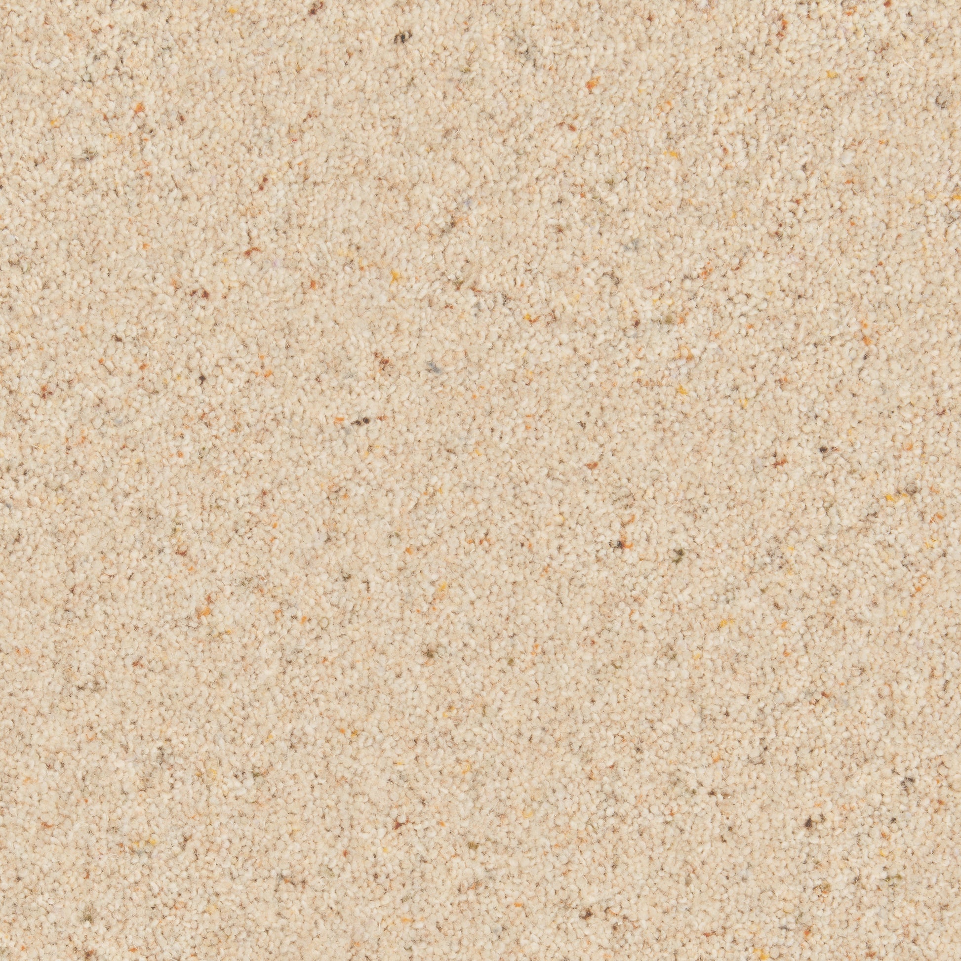 Parchment