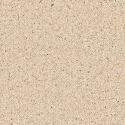 Parchment