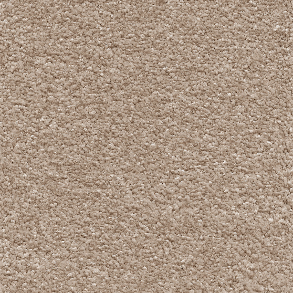 Suede