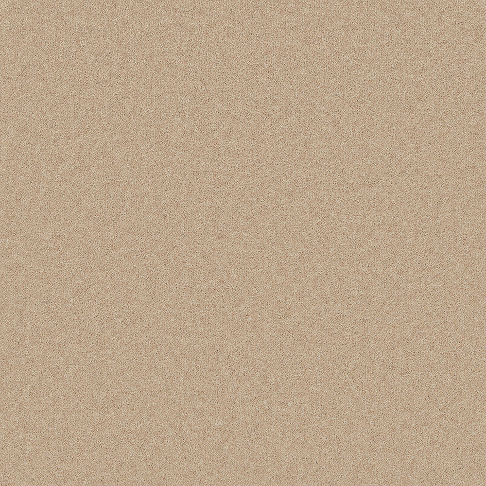 Cashmere