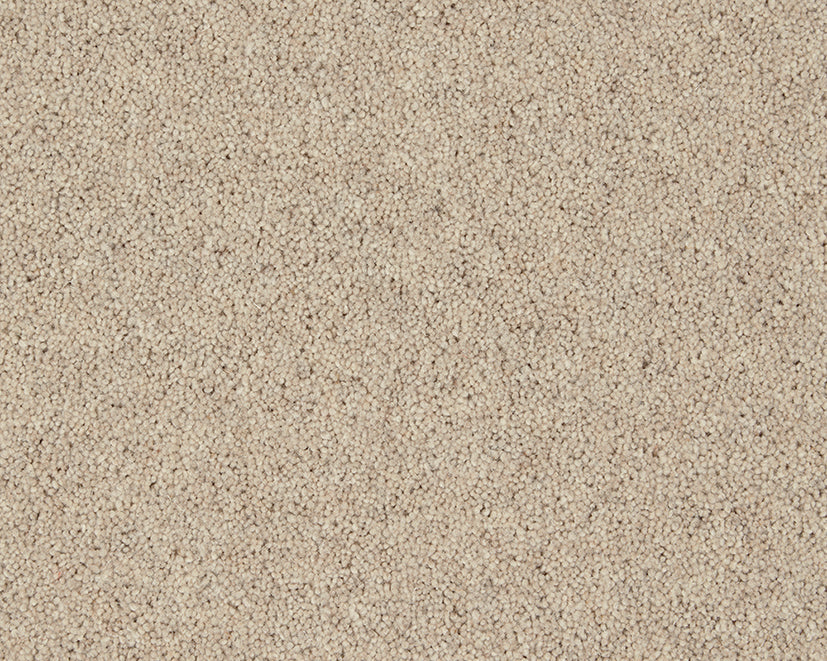 Pine Nut