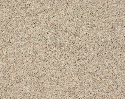 Pine Nut