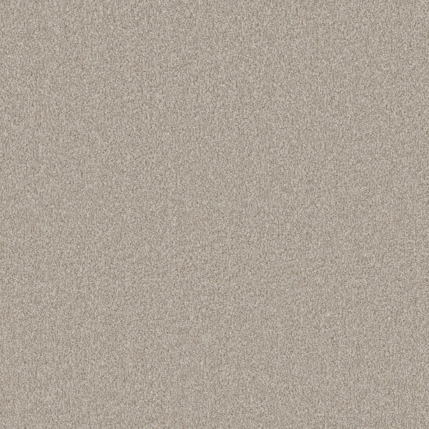 Bankside Beige