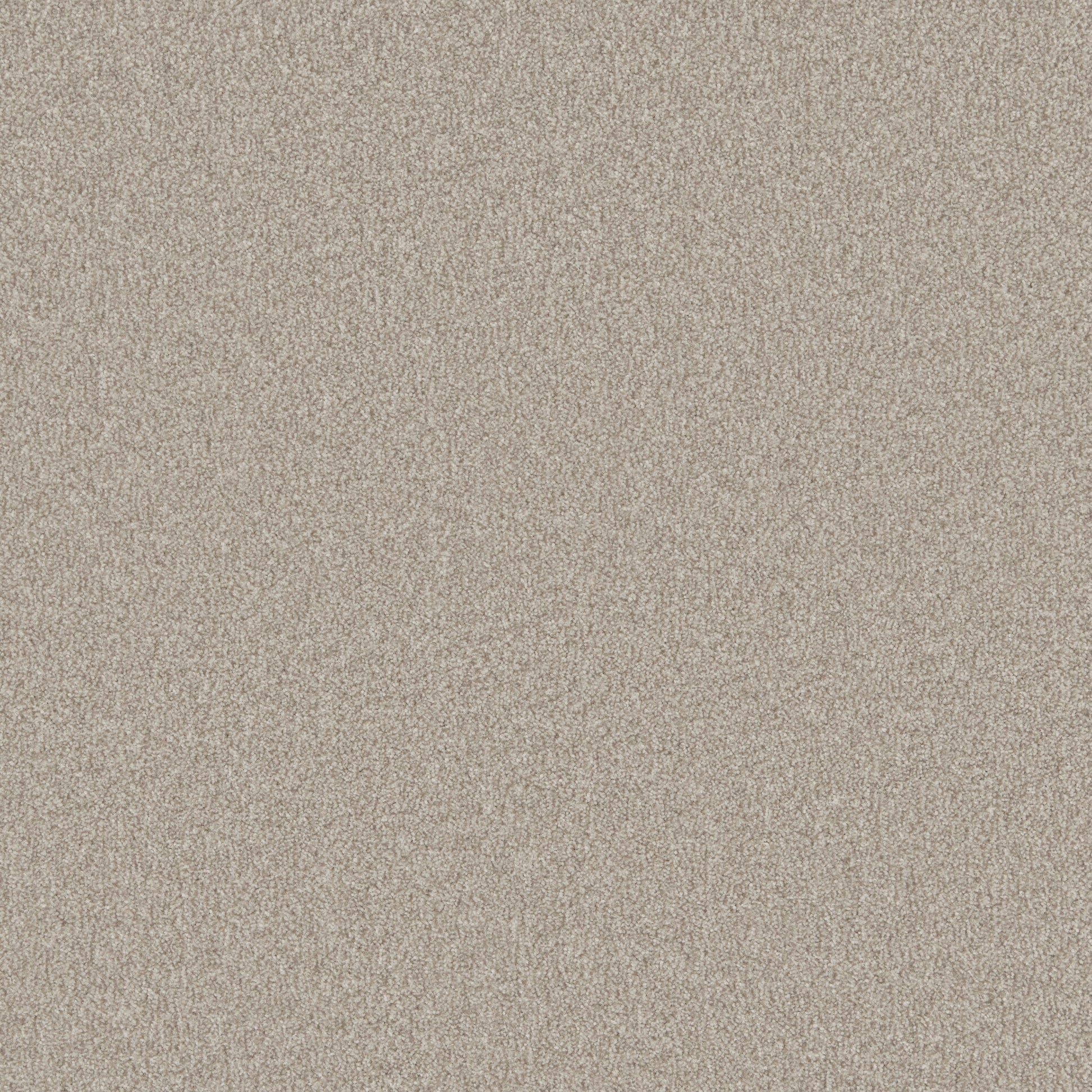Bankside Beige