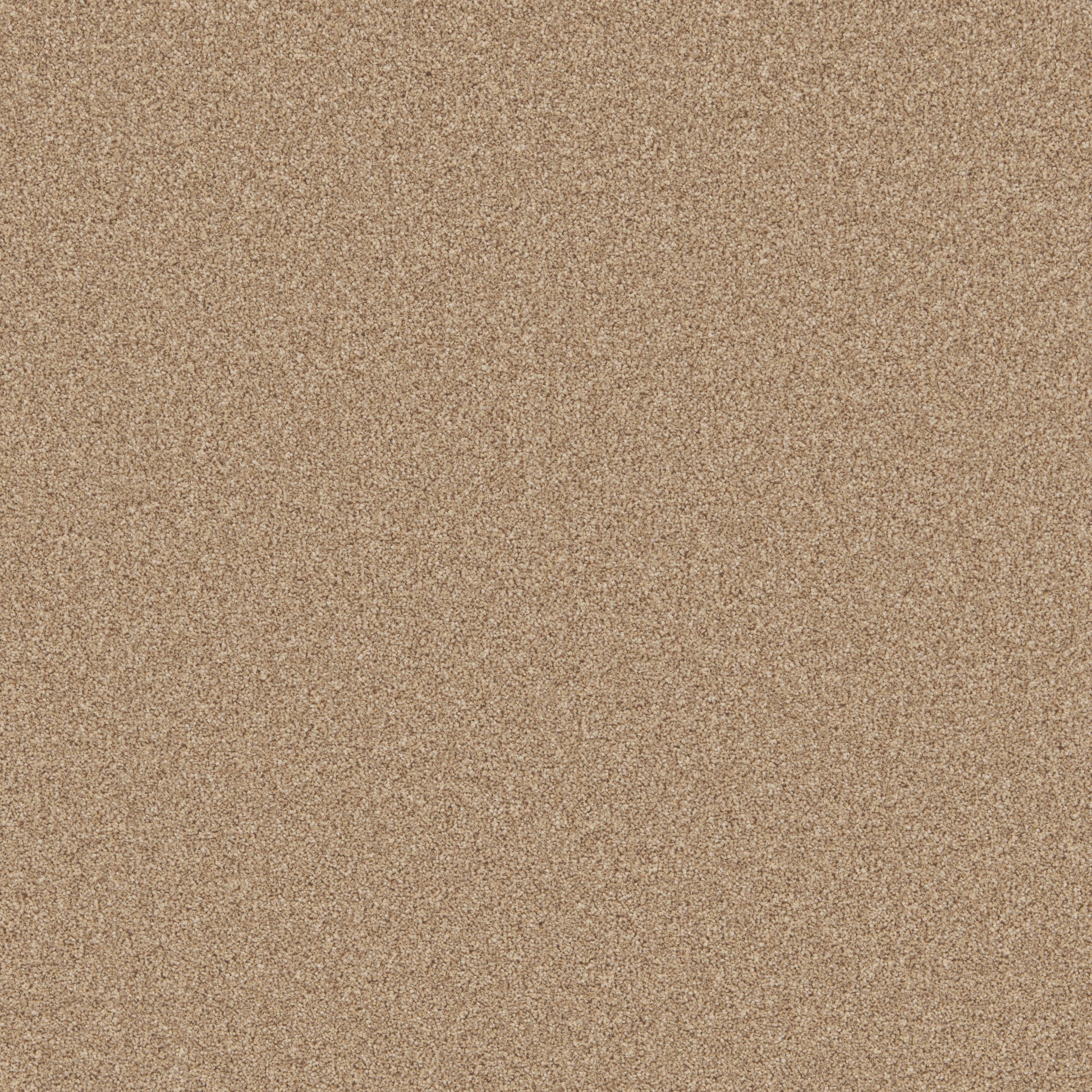 Sandstone