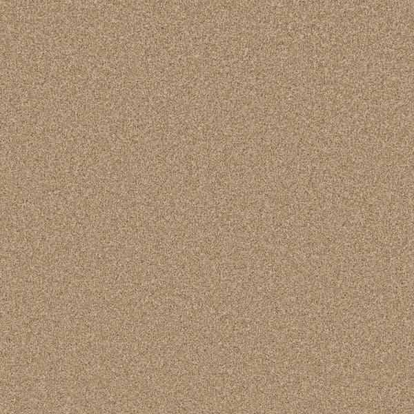 Natural & Oatmeal Carpets